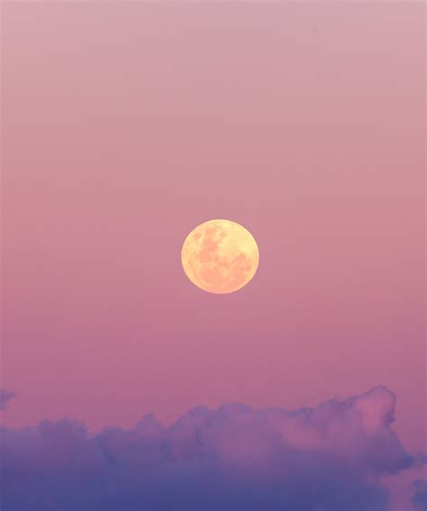 photo pleine lune ciel rose